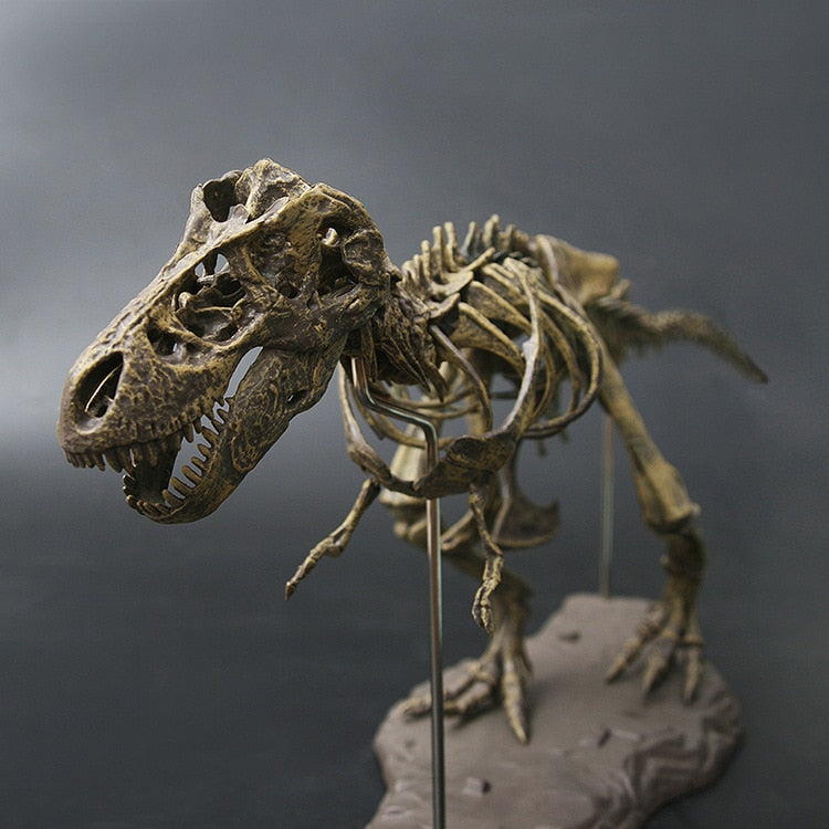 Antique Dinosaur Skull