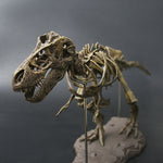 Antique Dinosaur Skull
