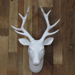 Deer Dead Wall Decoration
