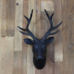 Deer Dead Wall Decoration
